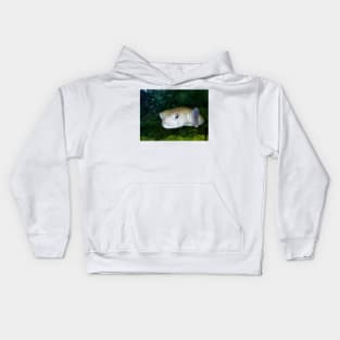 Pout Pout Fish Kids Hoodie